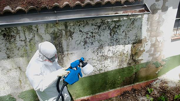 Trusted Mold Testing service in Middleburg, VA - Cheap Mold Removal